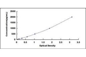 Typical standard curve (LECT1 ELISA Kit)
