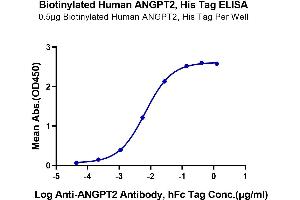ELISA image for Angiopoietin 2 (ANGPT2) (AA 275-496) protein (His-Avi Tag,Biotin) (ABIN7273861)