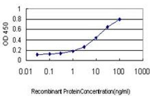 Detection limit for recombinant GST tagged TDP1 is approximately 0. (TDP1 Antikörper  (AA 1-608))