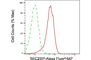 Flow cytometric analysis of SEC23IP expression in HepG2 cells using SEC23IP antibody (ABIN7800281), 1:2,000).
