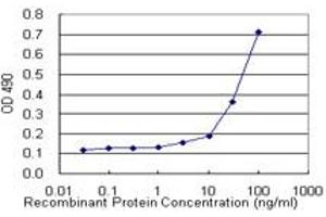IL13 (Human) Matched Antibody Pair