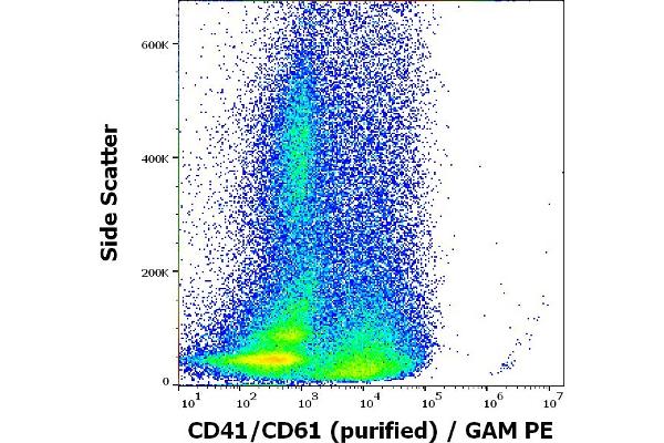 CD41, CD61 Antikörper