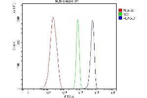 Flow Cytometry analysis of ANA-1 cells using anti-ZAC/Plagl1 antibody (ABIN7599464). (PLAGL1 Antikörper  (AA 1-527))