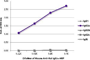 ELISA plate was coated with purified rat IgG1, IgG2a, IgG2b, IgG2c, and IgM. (Maus anti-Ratte IgG2a Antikörper (HRP))