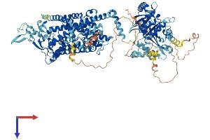 SLC12A4 Protein (AA 1-1085) (His tag)