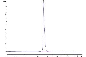 The purity of Mouse Nectin-4 is greater than 95 % as determined by SEC-HPLC. (PVRL4 Protein (AA 31-347) (His tag))