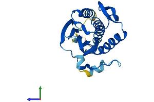 Protein Structure (PS) image for MAD2 Mitotic Arrest Deficient-Like 2 (MAD2L2) (AA 1-211) protein (His tag) (ABIN7561068)