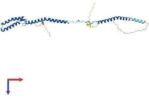 NSL1 Protein (AA 1-281) (His tag)