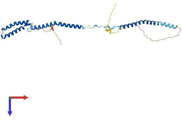 NSL1 Protein (AA 1-281) (His tag)
