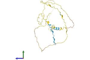 Protein Structure (PS) image for Nuclear Casein Kinase and Cyclin-Dependent Kinase Substrate 1 (NUCKS1) (AA 1-243) protein (His tag) (ABIN7550115)