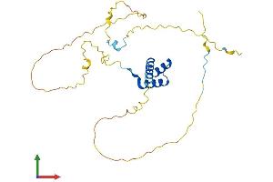 AlphaFold protein structure predicition of Mouse Recombinant Hhex Protein, UniprotID P43120 (HHEX Protein (AA 1-271) (His tag))