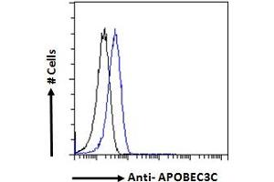 ABIN334348 Flow cytometric analysis of paraformaldehyde fixed HeLa cells (blue line), permeabilized with 0.