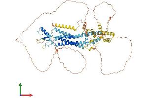 Protein Structure (PS) image for Pannexin 2 (PANX2) (AA 1-677) protein (His tag) (ABIN7550659)