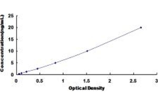 FGFR1 ELISA Kit