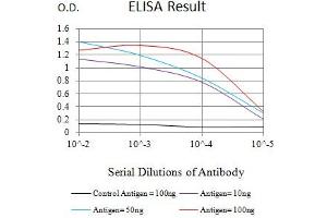 Black line: Control Antigen (100 ng),Purple line: Antigen (10 ng), Blue line: Antigen (50 ng), Red line:Antigen (100 ng) (COL1A2 Antikörper  (AA 23-79))