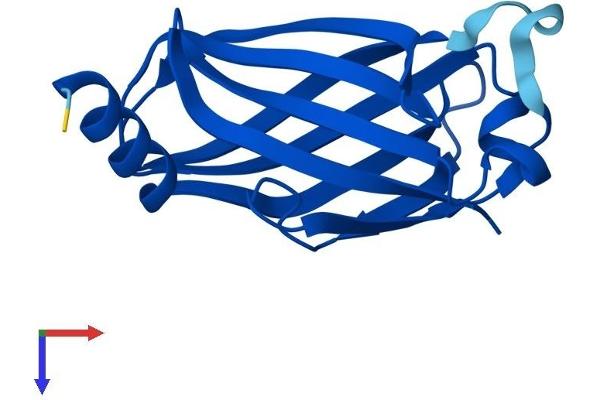 PDE6D Protein (AA 1-150) (His tag)