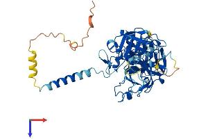 TMPRSS3 Protein (AA 1-454) (His tag)