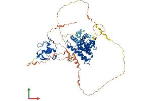 Protein Structure (PS) image for Retinoid X Receptor, beta (RXRB) (AA 1-520) protein (His tag) (ABIN7563062)