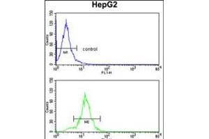 Flow cytometry analysis of HepG2 cells (bottom histogram) compared to a negative control cell (top histogram). (SLC38A3 Antikörper  (AA 442-468))