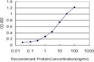 Detection limit for recombinant GST tagged RORB is approximately 0. (RORB Antikörper  (AA 136-224))