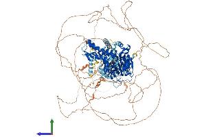 Protein Structure (PS) image for Jumonji, AT Rich Interactive Domain 2 (JARID2) (AA 1-1246) protein (His tag) (ABIN7554206)