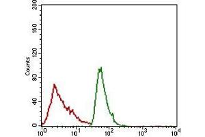 Flow cytometric analysis of JURKAT cells using ALCAM mouse mAb (green) and negative control (red). (CD166 Antikörper  (AA 48-216))