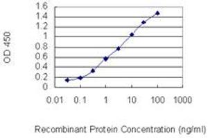 Detection limit for recombinant GST tagged IL15 is 0. (IL-15 Antikörper  (AA 30-129))