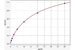 PTPN1 ELISA Kit