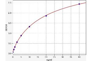 Typical standard curve (PTPN1 ELISA Kit)