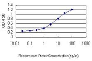 Detection limit for recombinant GST tagged CILP is approximately 0.