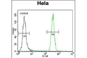HS Antibody (ABIN388133 and ABIN2846370) flow cytometric analysis of Hela cells (right histogram) compared to a negative control cell (left histogram). (GRP78 Antikörper)