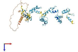 ZNF222 Protein (AA 1-451) (His tag)