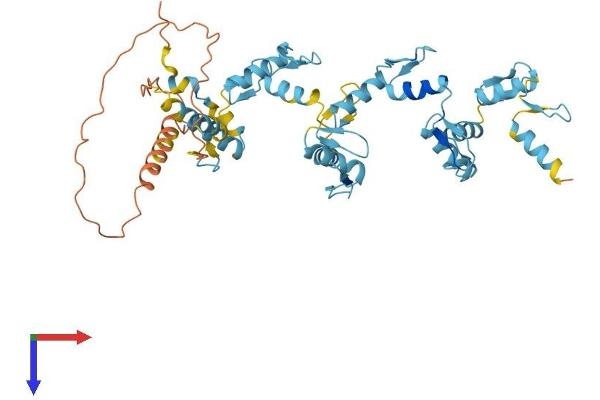 ZNF222 Protein (AA 1-451) (His tag)