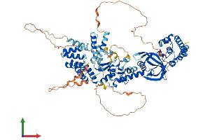 Protein Structure (PS) image for LON Peptidase N-terminal Domain and Ring Finger 3 (LONRF3) (AA 1-759) protein (His tag) (ABIN7549157)