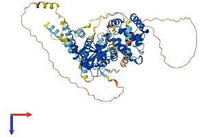 ARHGAP18 Protein (AA 1-663) (His tag)