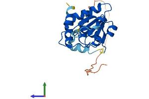 Protein Structure (PS) image for Dual Specificity Phosphatase 26 (DUSP26) (AA 1-211) protein (His tag) (ABIN7547197)