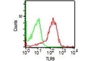 TLR9 Flow Cytometry Flow Cytometry of Mouse Anti-TLR9 antibody.