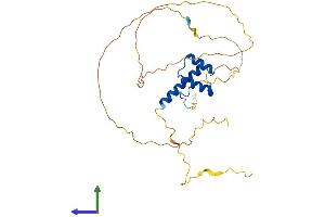 Protein Structure (PS) image for Homeobox B1 (HOXB1) (AA 1-297) protein (His tag) (ABIN7562922)