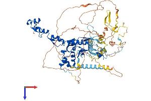 FBXO30 Protein (AA 1-745) (His tag)