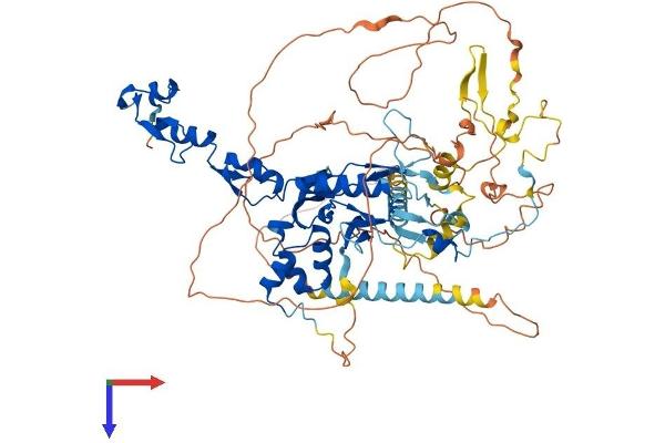 FBXO30 Protein (AA 1-745) (His tag)