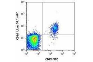 Flow Cytometry (FACS) image for anti-CD1d Molecule (CD1D) antibody (APC) (ABIN2657008) (CD1d Antikörper  (APC))