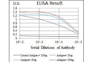 ELISA image for anti-Cytochrome P450, Family 3, Subfamily A, Polypeptide 4 (CYP3A4) antibody (ABIN1106886) (CYP3A4 Antikörper)