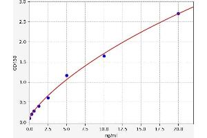 Typical standard curve (KCND3 ELISA Kit)