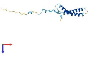 C20orf30 Protein (AA 1-120) (His tag)
