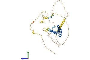 Protein Structure (PS) image for Homeobox D11 (HOXD11) (AA 1-338) protein (His tag) (ABIN7548456)
