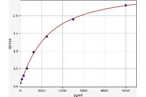 Typical standard curve (ADAMTS12 ELISA Kit)