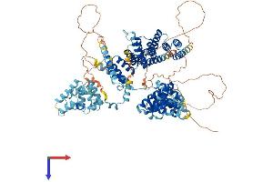 SPAG1 Protein (AA 1-926) (His tag)