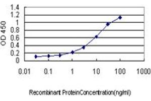 Detection limit for recombinant GST tagged SCAMP3 is approximately 0. (SCAMP3 Antikörper  (AA 70-169))