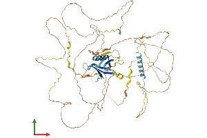 Protein Structure (PS) image for GRB2-Associated Binding Protein 2 (GAB2) (AA 1-676) protein (His tag) (ABIN7553988)