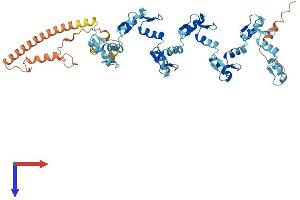AlphaFold protein structure predicition of Human Recombinant ZNF492 Protein, UniprotID Q9P255